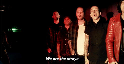 tumblr_ntwp2qvdKl1rnw24oo1_500